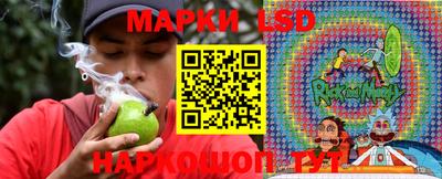 дмт Будённовск
