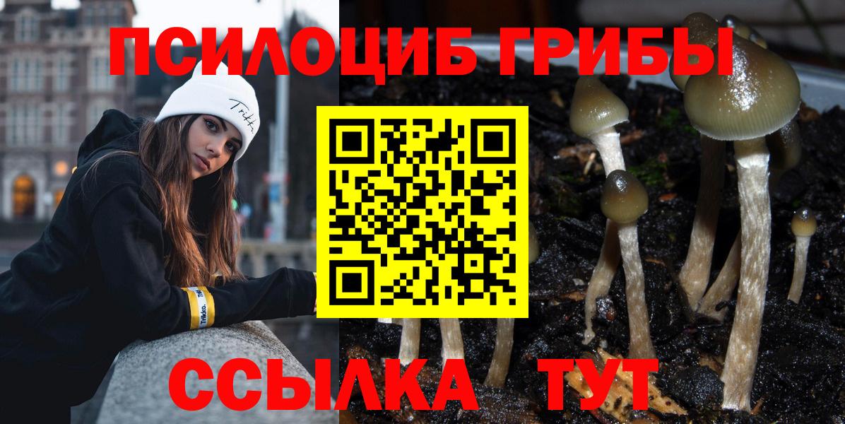Псилоцибиновые грибы ЛСД Шумерля